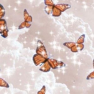 Meet your Posher, Isabella